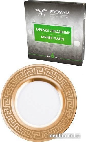 Набор обеденных тарелок Promsiz EAV04-328/S/Z/6