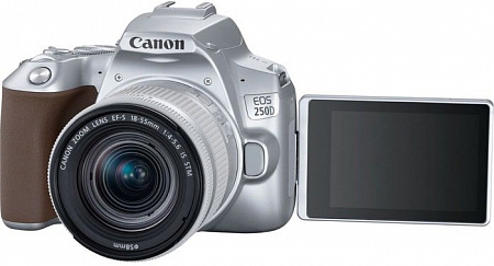 Зеркальный фотоаппарат Canon EOS 250D Kit 18-55 IS STM (серебристый)