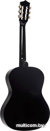 Акустическая гитара Terris TC-3801A BK