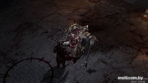 Diablo IV для PlayStation 5