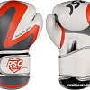 Перчатки для единоборств RSC Sport PU 2t c 3D фактурой (14 oz, белый/серый)