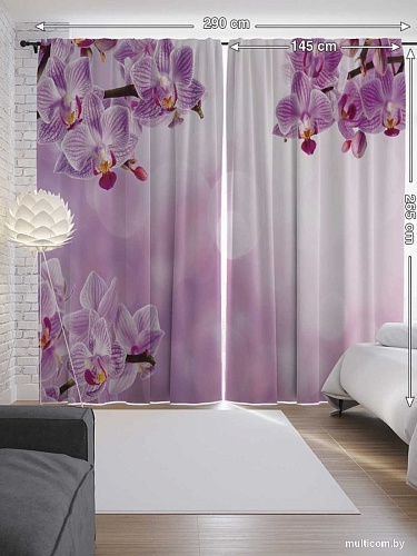 JoyArty Облачные орхидеи p_16364