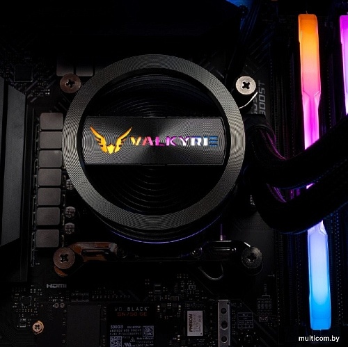 Система жидкостного охлаждения для процессора Valkyrie Dragonfang 240 (черный)