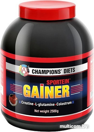 Протеин Академия-Т Sportein Gainer (2500г, шоколад)