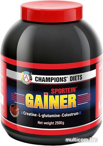 Протеин Академия-Т Sportein Gainer (2500г, шоколад)