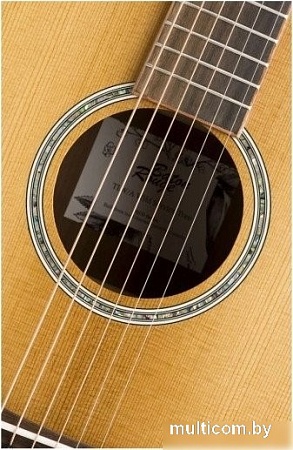 Акустическая гитара Baton Rouge TLW/A