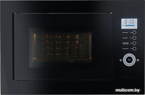 Микроволновая печь ZorG Technology MW5 25BI S14G10 (черный)