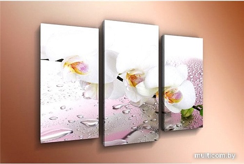 Модульная картина Arthata m-000584 120x80