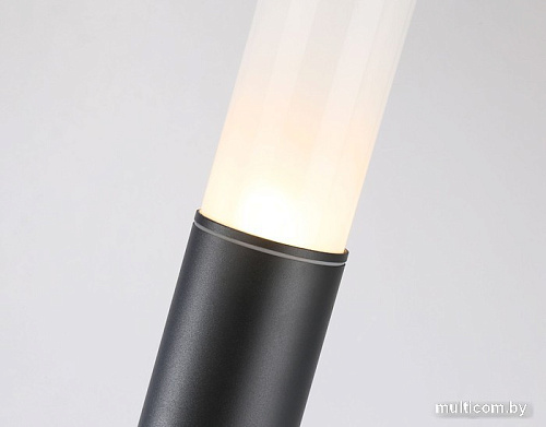 Садовый светильник Ambrella light Garden ST2459