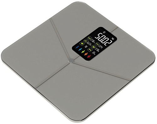 Напольные весы SecretDate Smart SD-IT01G