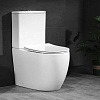 Унитаз напольный Cerutti Spa Orlter CT9867
