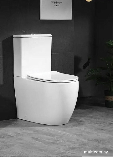 Унитаз напольный Cerutti Spa Orlter CT9867