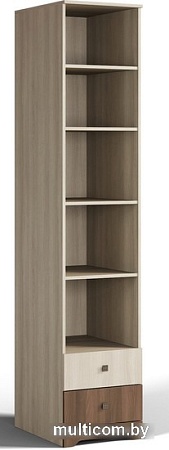 Шкаф-пенал КМК Мебель 2Я Атланта 0741.6 (ясень шимо светлый/ясень шимо темный)