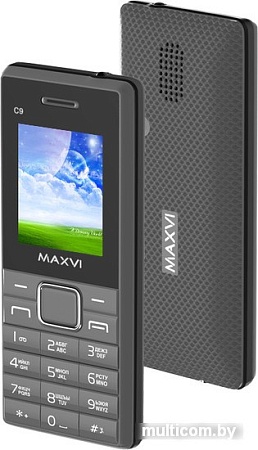 Мобильный телефон Maxvi C9 Grey
