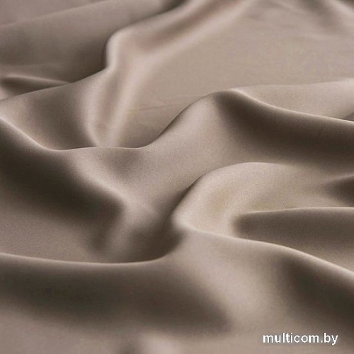 Комплект штор Pasionaria Блэквуд 280x270 (бежевый)