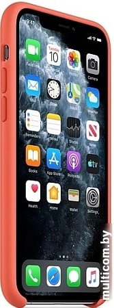 Чехол Apple Silicone Case для iPhone 11 Pro (спелый клементин)