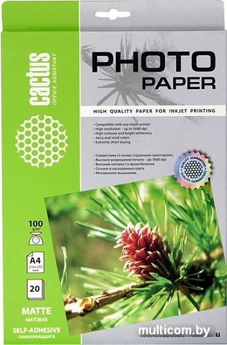 Самоклеящаяся бумага CACTUS Самоклеящаяся матовая A4 100 г/кв.м. 20 листов (CS-MSA410020)