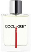 Dilis Parfum Cool&Grey Sport EdT 100 мл