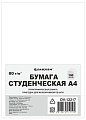Офисная бумага Darvish DV-12217 A4 80 г/м2 100 л