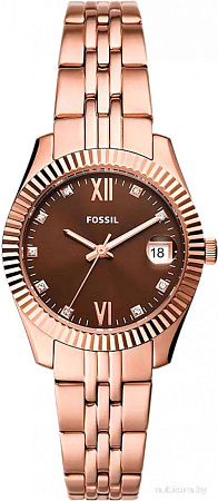Наручные часы Fossil ES5324