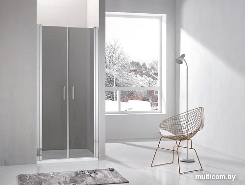 Душевая дверь Adema Nap Duo-100 (тонированное стекло)