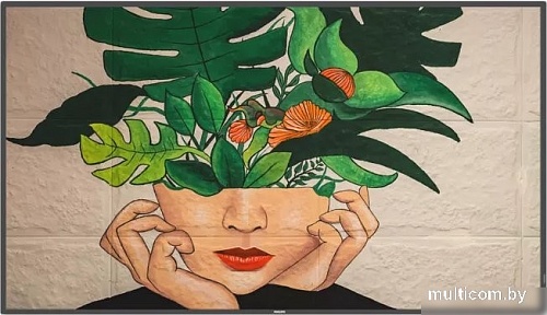 Информационная панель Philips 55BDL4511D/00