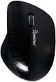 Мышь SmartBuy 309AG Black (SBM-309AG-K)