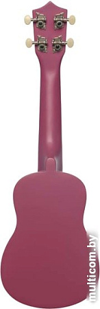 Укулеле Terris JUS-10 VIO