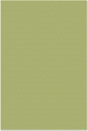 Ковер для жилой комнаты Moldabela Lana Прямоугольник 7649 1 70300 (0.8x1.5)