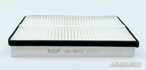 BIG Filter GB-9833