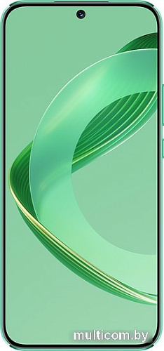 Смартфон Huawei nova 11 FOA-LX9 8GB/256GB (зеленый)