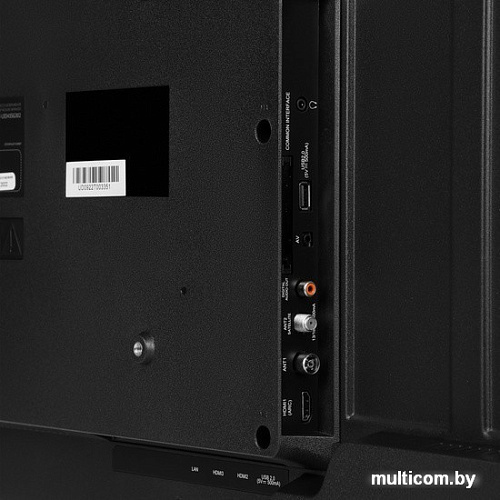 Телевизор StarWind SW-LED43SG302