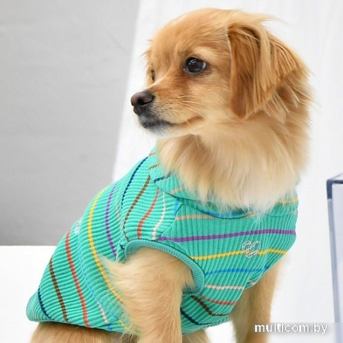 Футболка Pinkaholic Yara с капюшоном NAUA-TS7603-GR-M (зеленый)