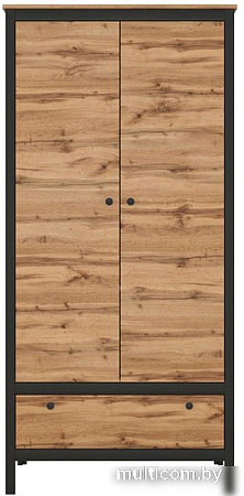 Шкаф распашной BRW Loft SZF2D1S (дуб вотан/черный матовый)