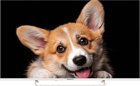 Телевизор Topdevice 50" SMART TV YаOS 03 (белый)