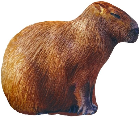 Классическая игрушка Мальвина Капибара 19.15.1