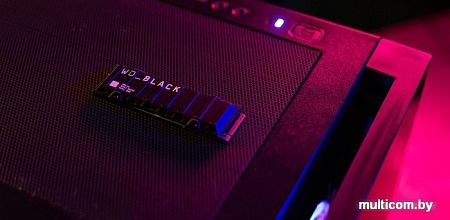 SSD WD Black SN850 NVMe Heatsink 500GB WDS500G1XHE