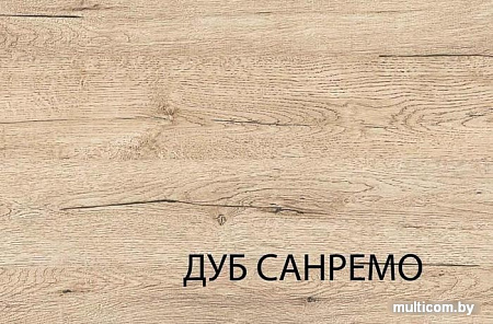 Шкаф распашной Anrex Oskar 2D Дуб Санремо