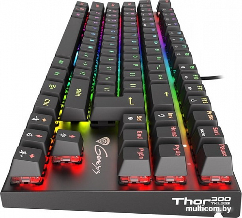 Клавиатура Genesis Thor 300 TKL RGB