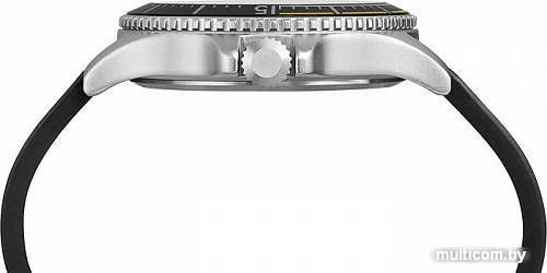 Наручные часы Timex TW4B14900