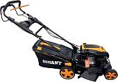 Газонокосилка Gigant PLM-07