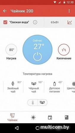 Чайник Redmond SkyKettle RK-G211S