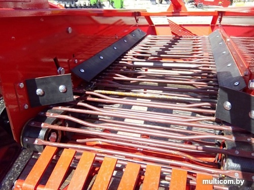 D-POL Бульба-1