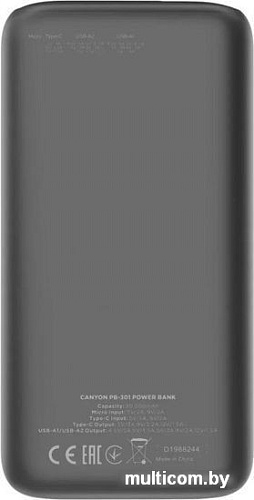 Внешний аккумулятор Canyon PB-301 30000mAh (черный)