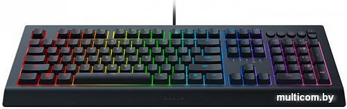 Клавиатура Razer Cynosa v2