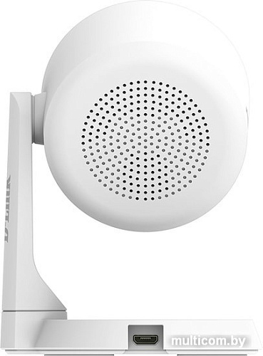 IP-камера D-Link DCS-8325LH/A1