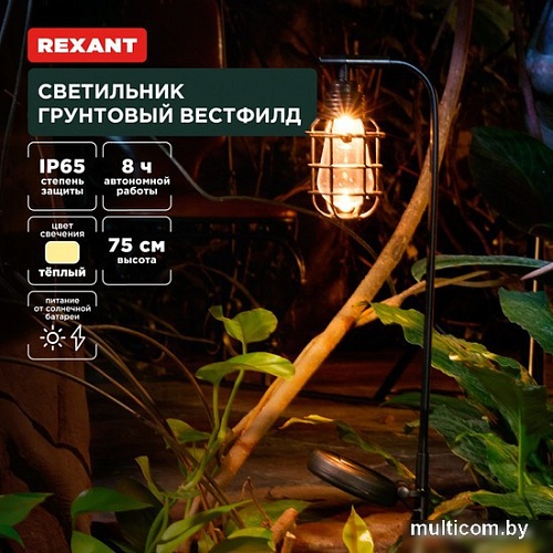 Садовый светильник Rexant Вестфилд 602-2425