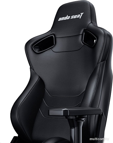 Игровое (геймерское) кресло AndaSeat Frontier AD12Y-12-B-PV (черный)