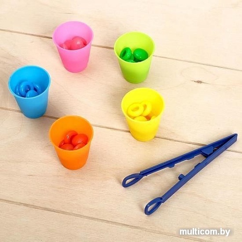 Сортер Zabiaka Цветные фишечки 3970865