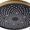Верхний душ Maxonor Pure Life PL107-25-6
